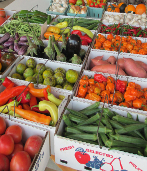 Fresh produce at a Bremen area farmers market